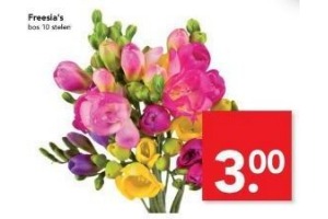 freesia s