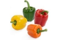 hollandse paprika