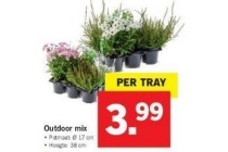 outdoor mix nu eur3 99 per tray