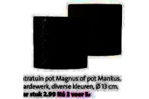 intratuin pot magnus of mankus