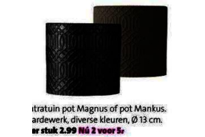 intratuin pot magnus of mankus