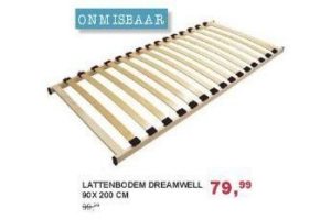 lattenbodem dreamwell 90x200 cm