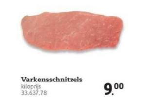 varkenssnitzels