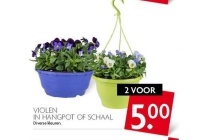 violen hangpot of schaal