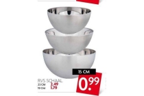 rvs schaal