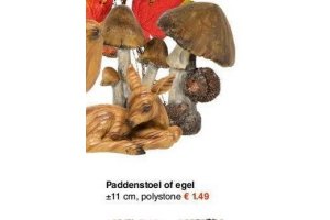 paddenstoel of egel