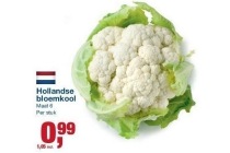 hollandse bloemkool