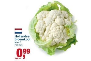 hollandse bloemkool