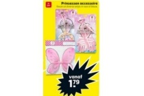 prinsessen accessoire