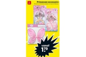 prinsessen accessoire