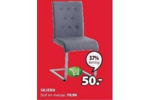 skjern
