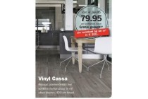 vinyl cassa