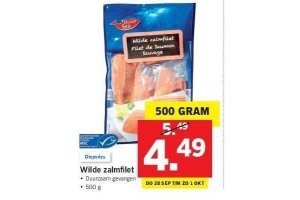 ocean sea wilde zalmfilet