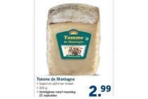 tomme de montagne