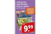 veilig kist bloembollen blue of yellow