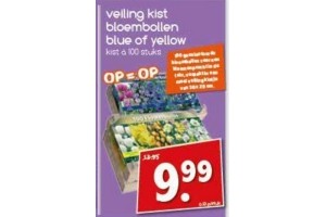 veilig kist bloembollen blue of yellow