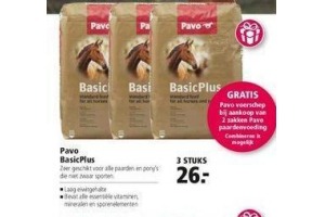 pavo basicplus