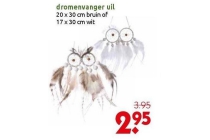 dromenvanger uil