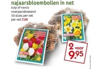 najaarsbloembollen in net