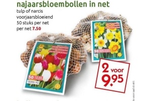 najaarsbloembollen in net