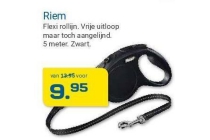 riem