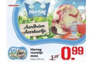 hertog roomijs mini