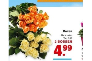 rozen