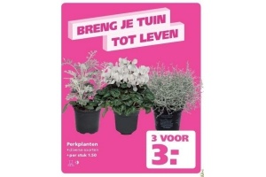 perkplanten