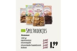 speltkoekjes