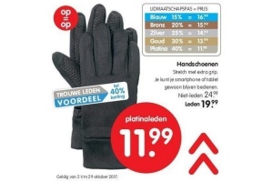 handschoenen