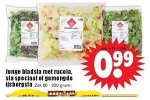 jonge bladsla met rucola sla speciaal of gemengde ijsbergsla