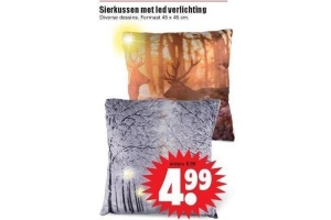 sierkussen met ledverlichting