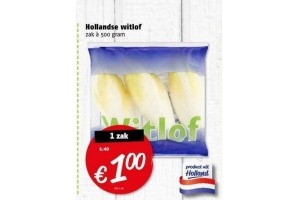 hollandse witlof