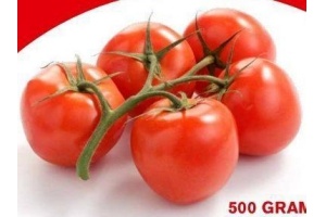 hoogvliet hollandse tomaten of trostomaten
