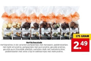 delicieux herfstchocolade