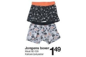 jongens boxer