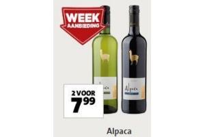 alpaca wijn
