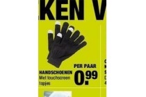 handschoenen