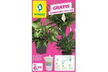 gratis kamerplant naar keuze t w v 2 99 bij aankoop van een aqua for weeks waterpot