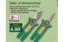 snoei en bloemenschaar