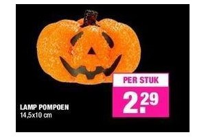 lamp pompoen nu eur2 29 per stuk