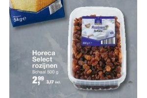 horeca select rozijnen