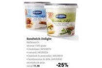 hellmann s sandwich delight