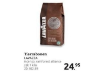 tierrabonen