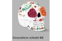 decoratieve schedel