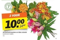 ah herfstchrysanten en lelies oriental