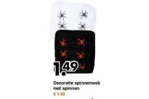 decoratie spinnenweb met spinnen