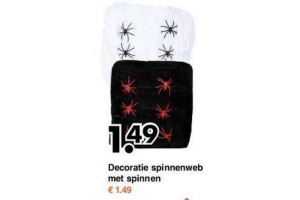 decoratie spinnenweb met spinnen