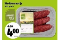 waddensaucijs