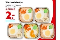 westland slaatjes